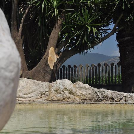 B&B Levante Paestum Mattine Εξωτερικό φωτογραφία